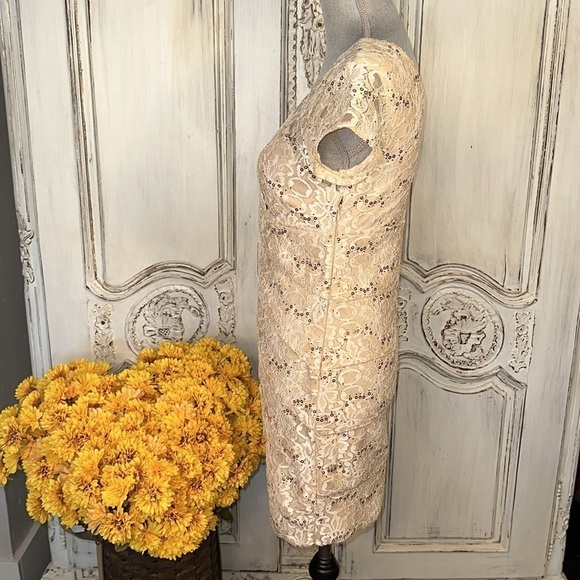 Scarlett Tan Lace and Sequins Short Sleeve Special Occassion Party Dress Size 6 - Picture 4 of 11